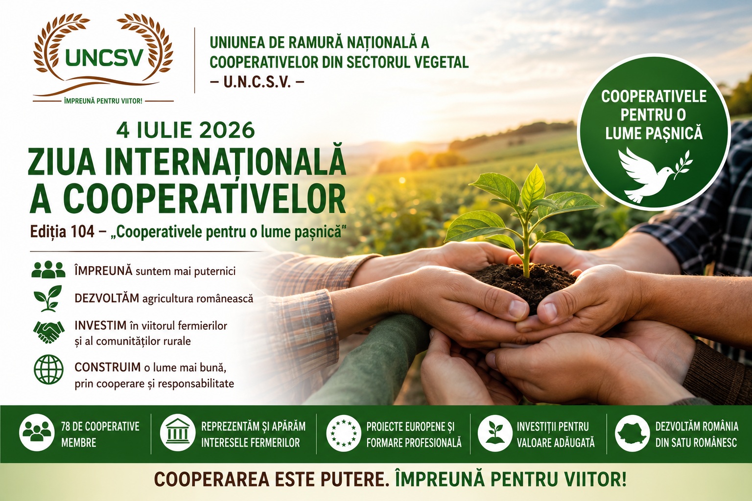 zi cooperative