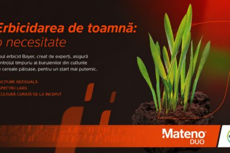 Mateno Duo erbicid cereale bayer