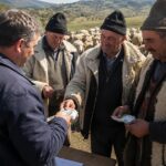 amenzi oieri