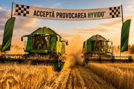 orz hibrid hyvido syngenta