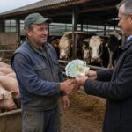 subventii porc vaca