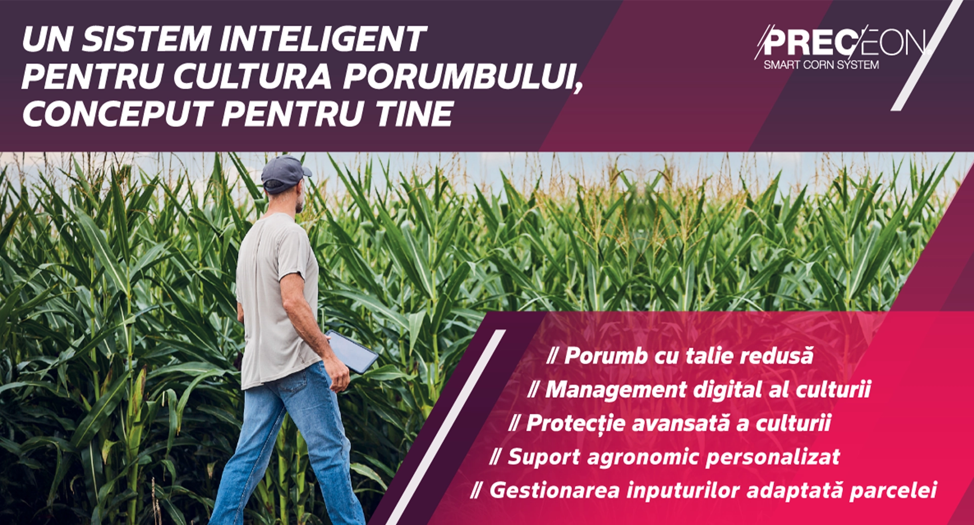PRECEON Smart Corn System: o nouă abordare Bayer pentru gestionarea culturii de porumb