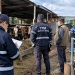 controale itm