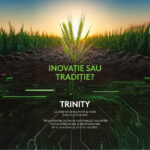 trinity L