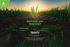 Trinity SC: Curățenia de toamnă care se vede în primăvară